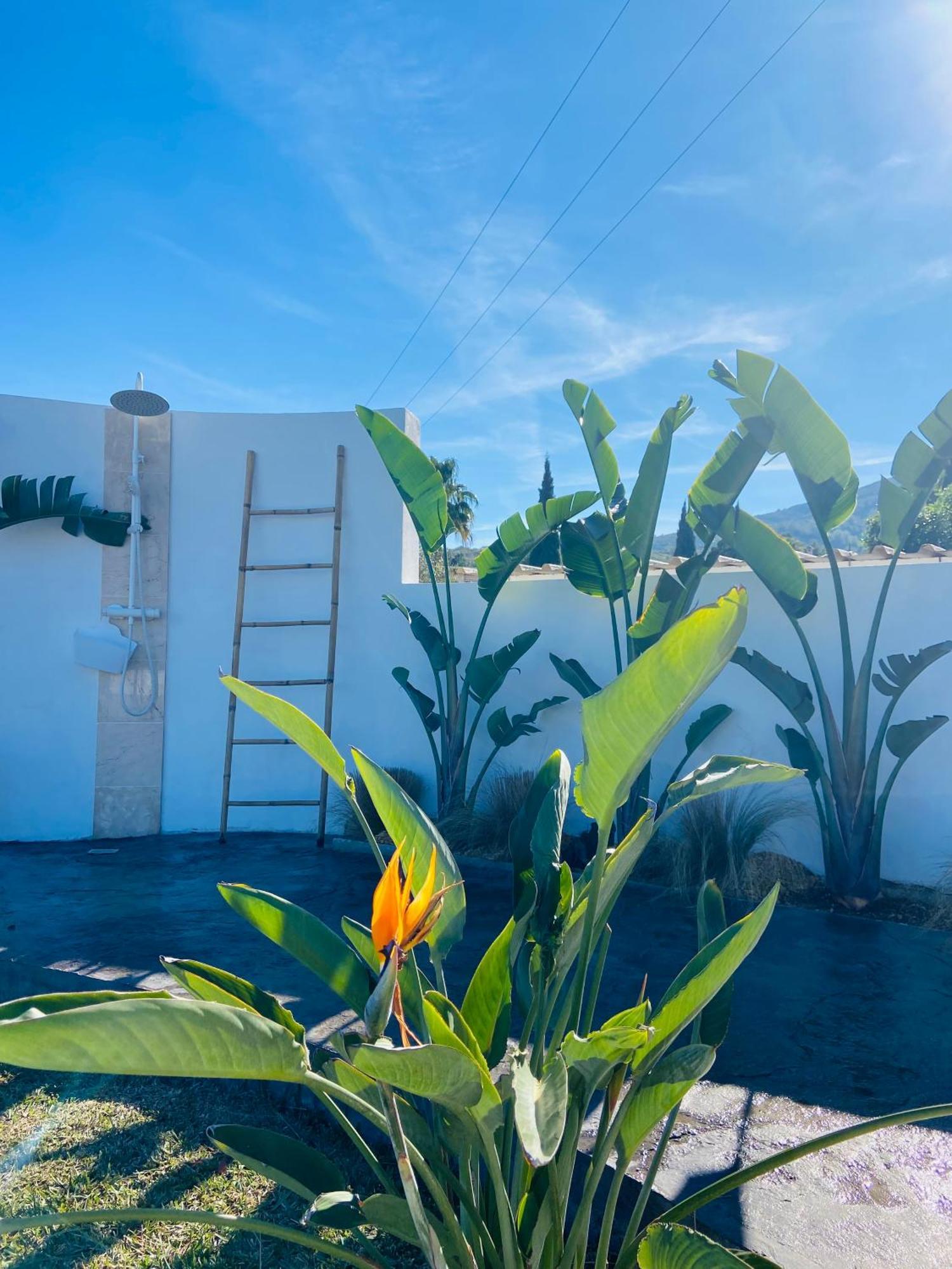 Casa Avellana Villa Denia Ngoại thất bức ảnh